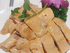 -新高记·粤菜·湛江鸡(南头古城店)