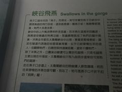 -太鲁阁公园