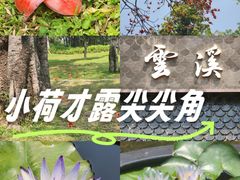 -云溪植物园