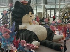 -东椰·海南椰子鸡火锅(朝阳门店)