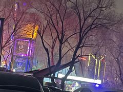-枫花园汽车电影院(朝阳公园店)