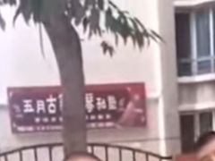 -五月古筝钢琴私塾