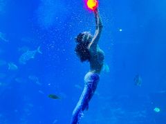 -太平洋海底世界