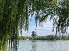 -济南大明湖景区