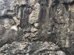 -龙坑生态保护区