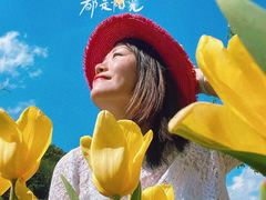 -深圳仙湖植物园-停车场