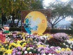 -西北湖绿化广场