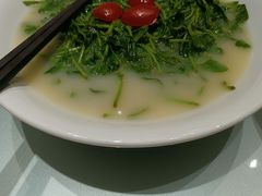 枸杞苗-广东道至正餐厅(区庄店)