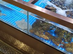 水产区-七鲜超市(通州ONE店)