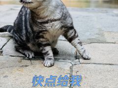 -龙华寺