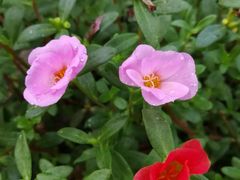 -瓦库茶馆17号(海汇港店)