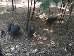 -石家庄市动物园