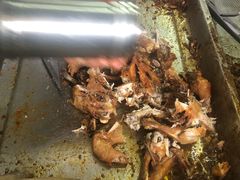 -童子鸡专卖店(中新街店)