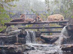 -北京野生动物园