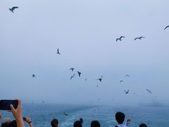 -海驴岛(荣成市)