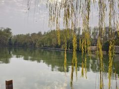 -溱湖国家湿地公园