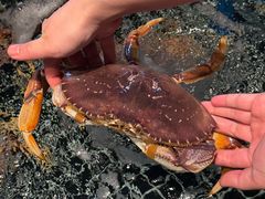 -桐湾大院·桐庐菜(滨江店)