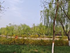 -南翠屏公园