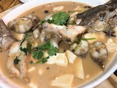 红烧狗鱼-煲来饱去冷水鱼