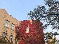 -辽宁大学(崇山校区)