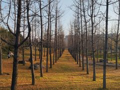 -汉长安城未央宫国家考古遗址公园