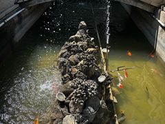 -鸡鸣山旅游风景区