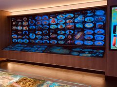 -连鹭海鲜·海肠捞饭·海胆饭(星海店)