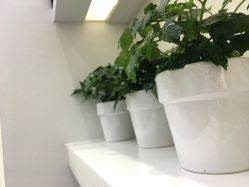 -KS科逆美肤祛痘