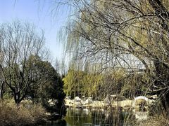 -上海滨江森林公园