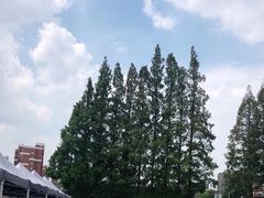 -云间粮仓