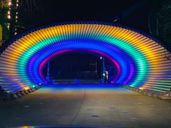 -枫花园汽车电影院(朝阳公园店)