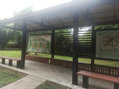 -堤角公园