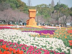 -苏州上方山国家森林公园