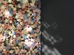-第九届妖漫动漫游戏展曁七夕情人祭