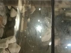 -一桶江山餐厅(松北店)