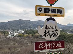 -香雪海