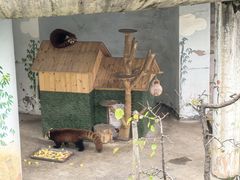 -青藏高原野生动物园