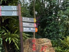 -深圳仙湖植物园