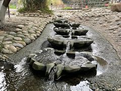 -成都市活水公园