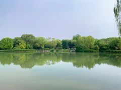 -海淀公园