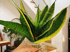 -森野花艺培训·企业团建活动沙龙