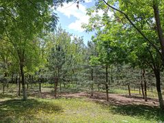 -永定河休闲森林公园