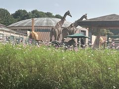 -哈尔滨北方森林动物园