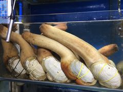 -蚝专家(北滘店)
