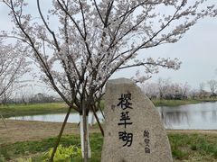 -良渚古城遗址公园