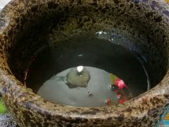 -九华山友谊土菜馆 小资餐厅