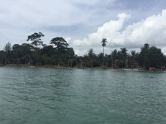 -椰树岛海滩度假村