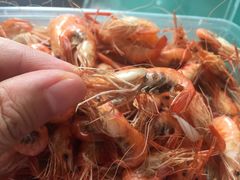 -乡乐园蟹庄·阳澄湖农家乐