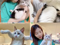 -lincat·猫舍(广州店)