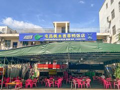 -霞姐屯昌枫木香草鸭店(海螺店)